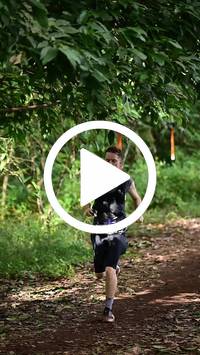 BIB:  <button type="button" onclick="openModal(27283108)" class="btn btn-primary btn-sm float-right" data-toggle="modal" data-target=".modal-high-quality">
                <i class="fa fa-download"></i> Download
                </button>